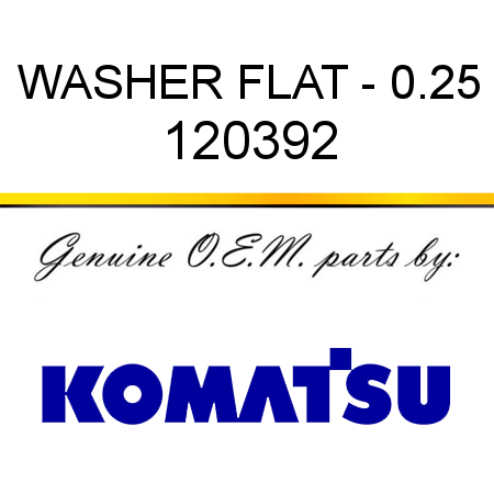 WASHER, FLAT - 0.25 120392