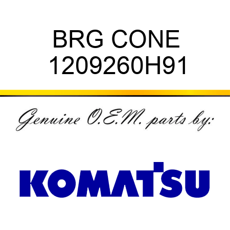 BRG CONE 1209260H91