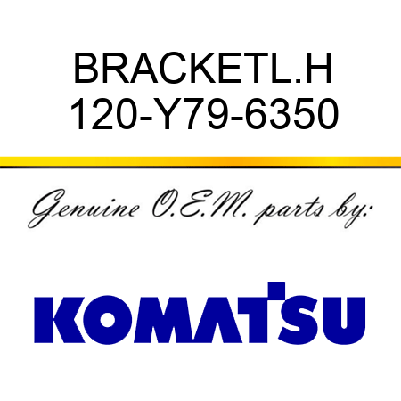 BRACKET,L.H 120-Y79-6350