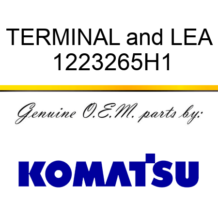 TERMINAL&LEA 1223265H1