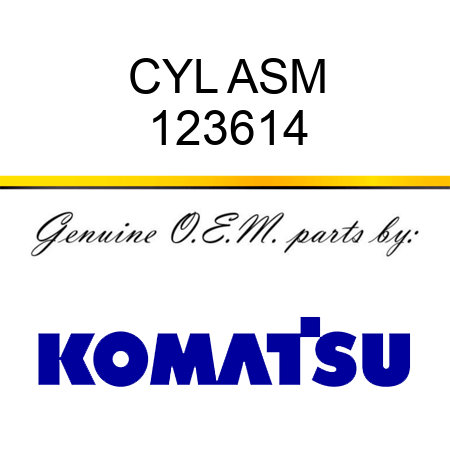 CYL ASM 123614