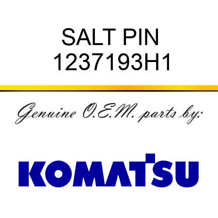 SALT PIN 1237193H1