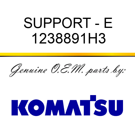 SUPPORT - E 1238891H3