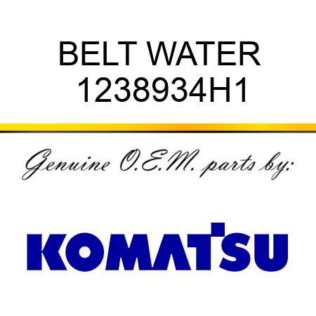 BELT, WATER 1238934H1