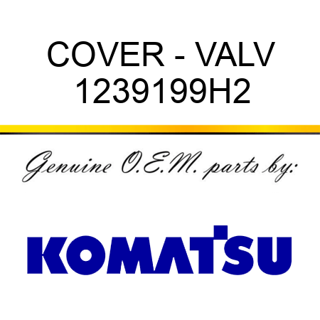 COVER - VALV 1239199H2