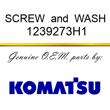 SCREW & WASH 1239273H1