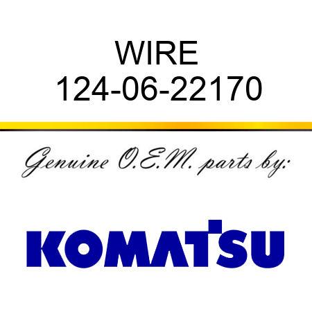 WIRE 124-06-22170