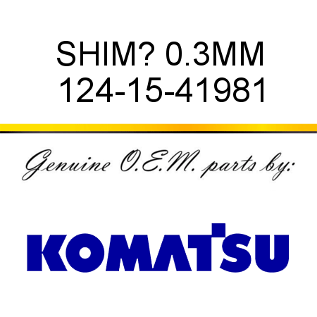 SHIM? 0.3MM 124-15-41981