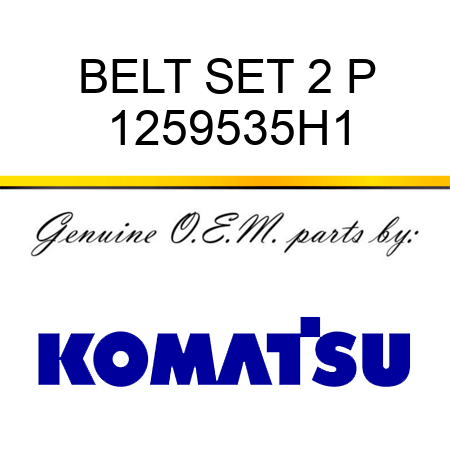 BELT SET 2 P 1259535H1