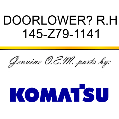 DOOR,LOWER? R.H 145-Z79-1141