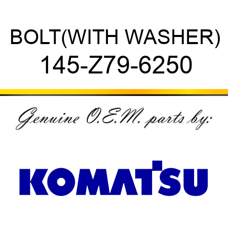 BOLT,(WITH WASHER) 145-Z79-6250