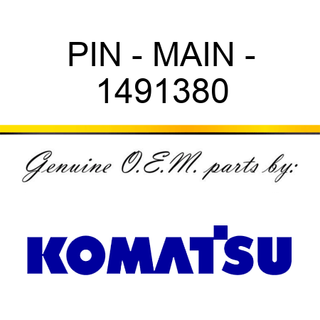 PIN - MAIN - 1491380