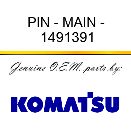 PIN - MAIN - 1491391