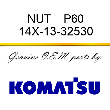 NUT    P60 14X-13-32530