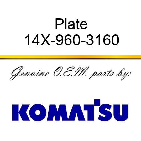 Plate 14X-960-3160