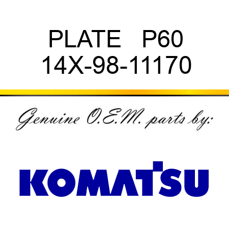 PLATE   P60 14X-98-11170
