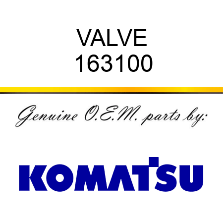 VALVE 163100