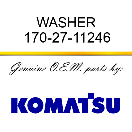 WASHER 170-27-11246