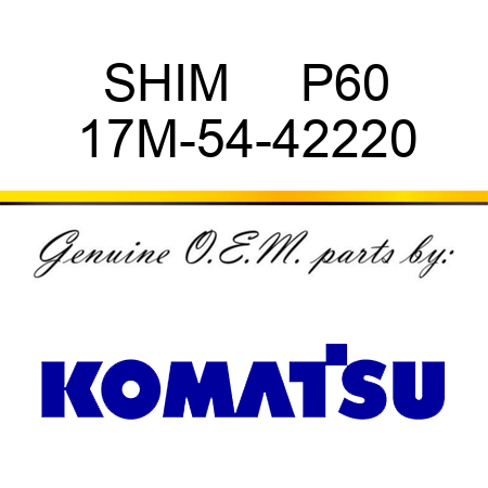 SHIM     P60 17M-54-42220