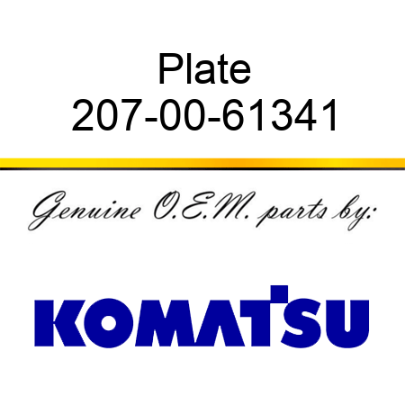 Plate 207-00-61341