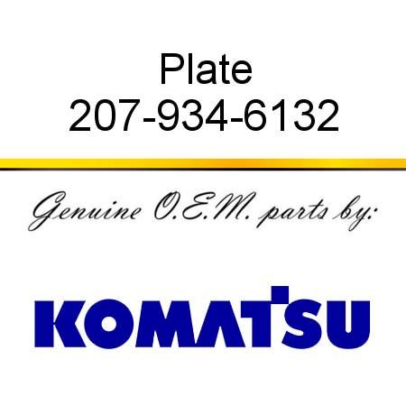 Plate 207-934-6132