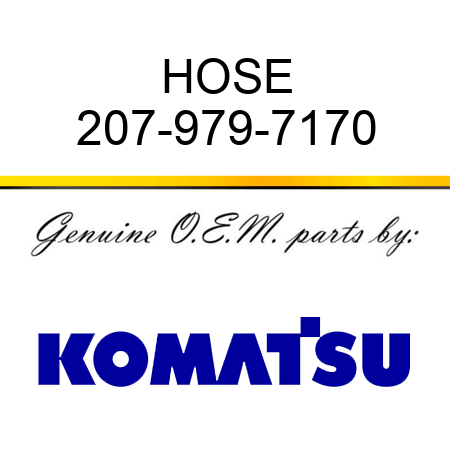 HOSE 207-979-7170