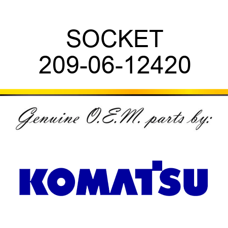 SOCKET 209-06-12420