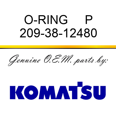 O-RING     P 209-38-12480