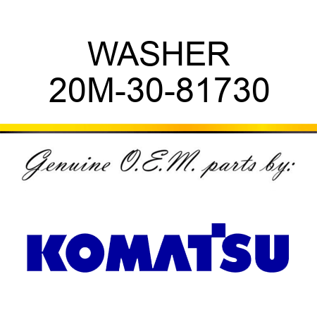 WASHER 20M-30-81730