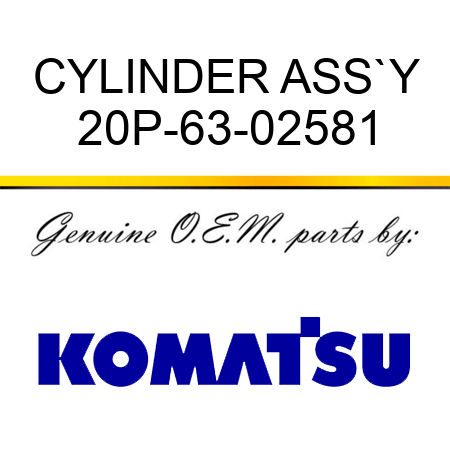 CYLINDER ASS`Y 20P-63-02581
