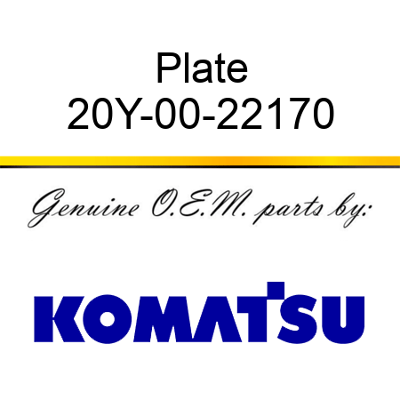Plate 20Y-00-22170