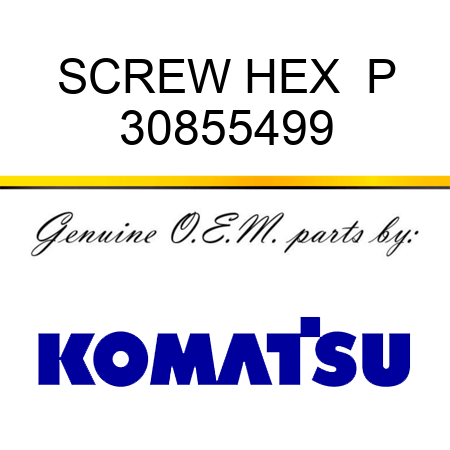 SCREW HEX  P 30855499