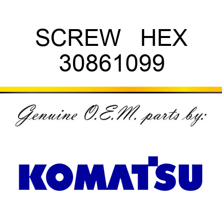 SCREW   HEX 30861099