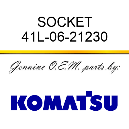 SOCKET 41L-06-21230