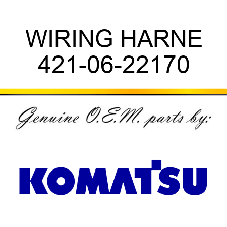 WIRING HARNE 421-06-22170