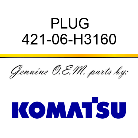 PLUG 421-06-H3160