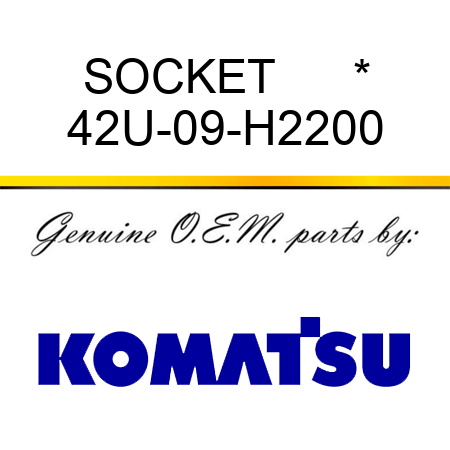 SOCKET      * 42U-09-H2200