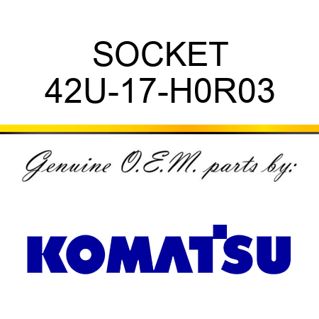 SOCKET 42U-17-H0R03