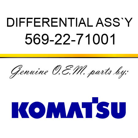 DIFFERENTIAL ASS`Y 569-22-71001