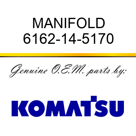 MANIFOLD 6162-14-5170