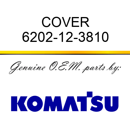 COVER 6202-12-3810