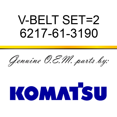 V-BELT SET=2 6217-61-3190
