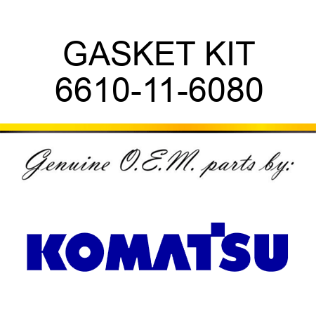 GASKET KIT 6610-11-6080