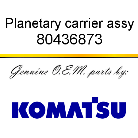 Planetary carrier assy 80436873
