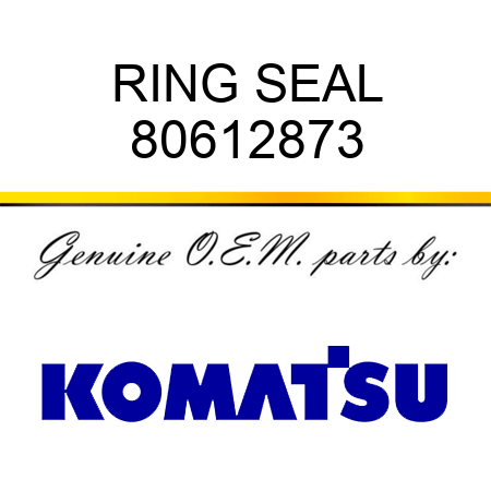 RING SEAL 80612873