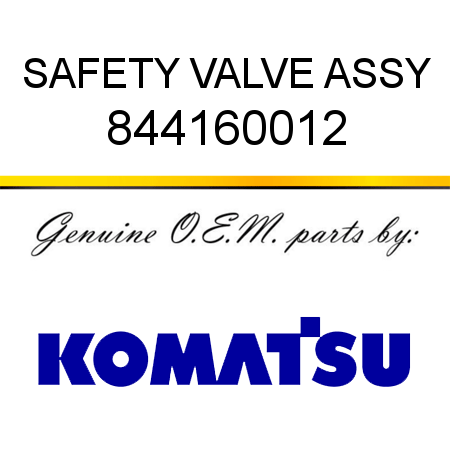SAFETY VALVE, ASSY 844160012