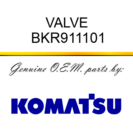 VALVE BKR911101