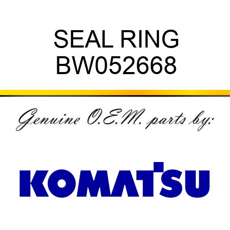 SEAL RING BW052668