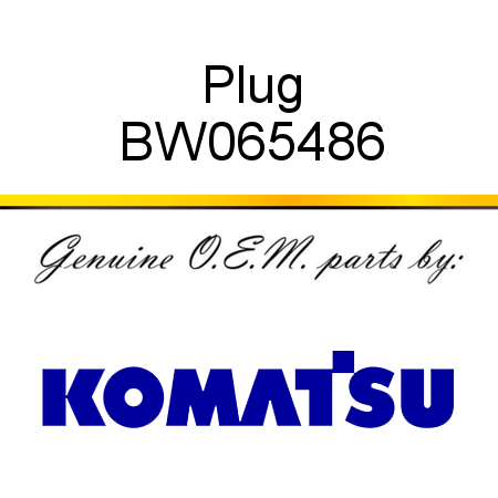 Plug BW065486