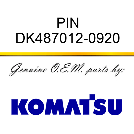 PIN DK487012-0920